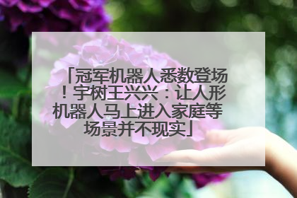 冠军机器人悉数登场！宇树王兴兴：让人形机器人马上进入家庭等场景并不现实